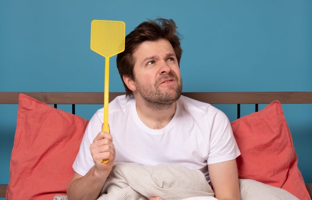 se debarrasser des mouches