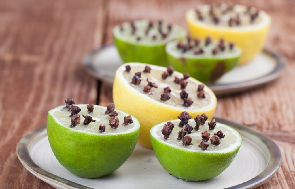 clou de girofle répulsif guepe