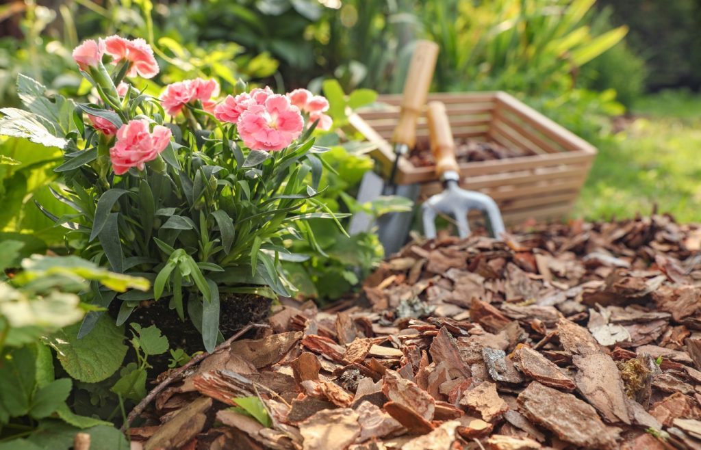 paillage sol pour eviter de desherber