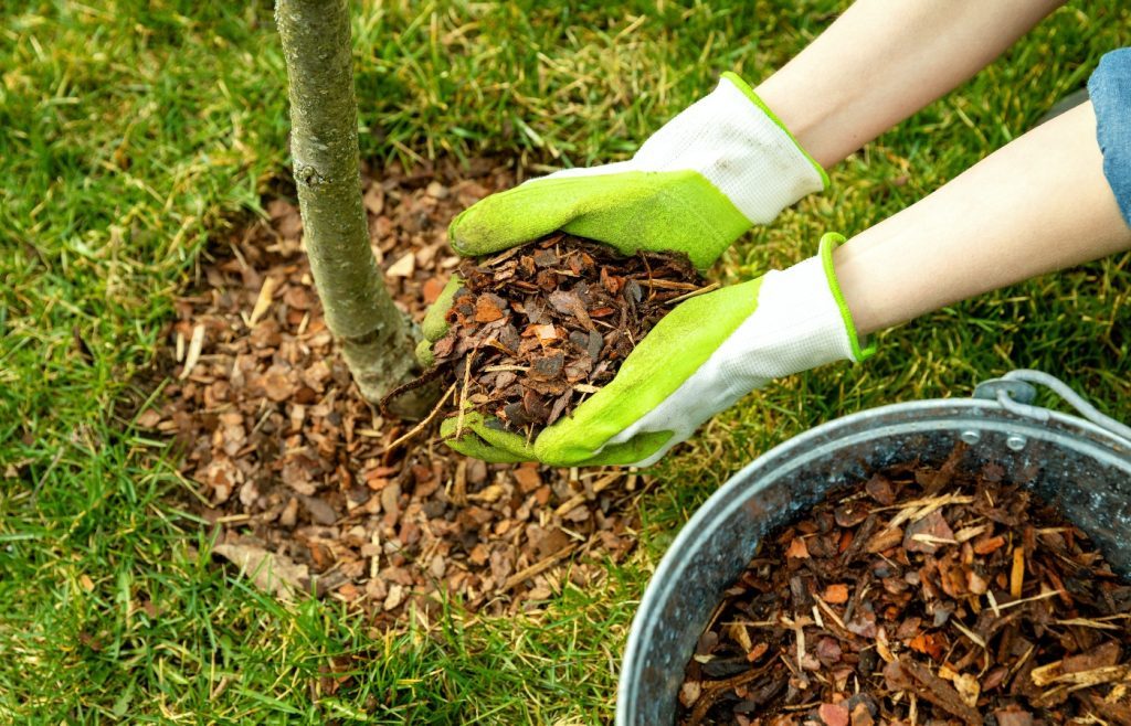 meilleurs paillages pour éviter mauvaises herbes