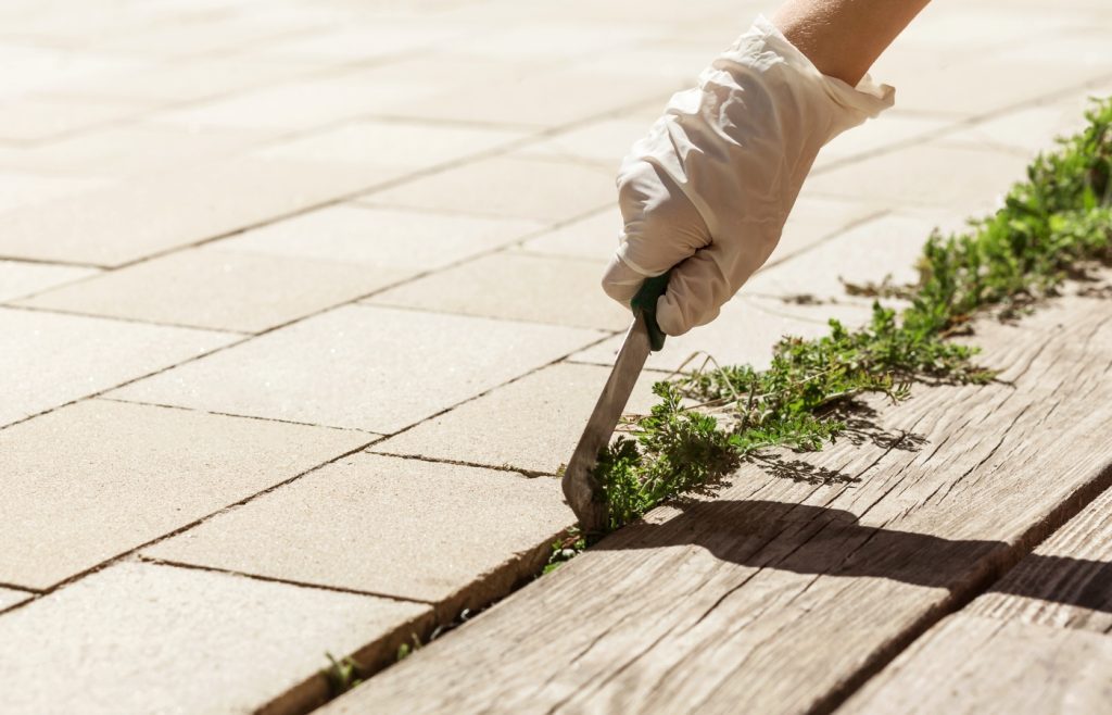 comment desherber entre dalles d'une terrasse