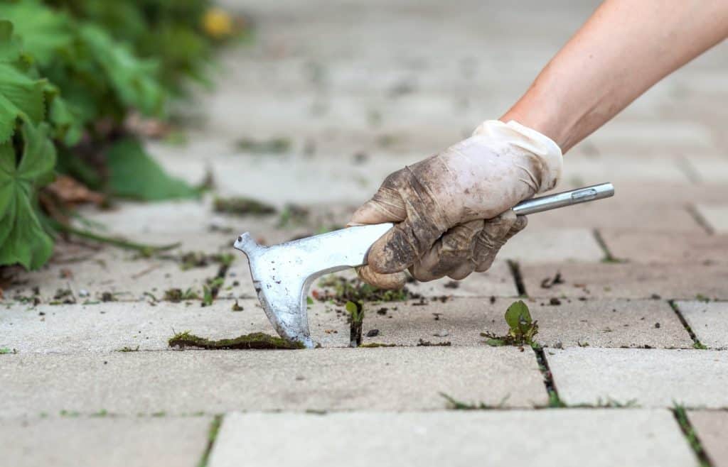 desherbage manuel dalles de terrasse