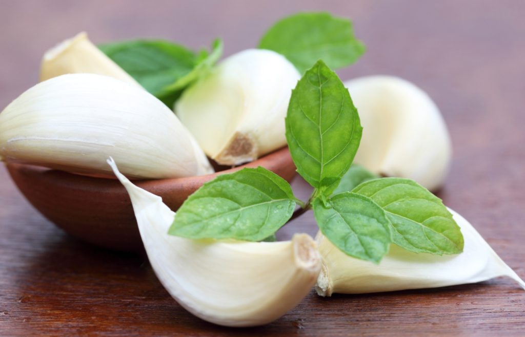 ail menthe répulsif punaises de bois