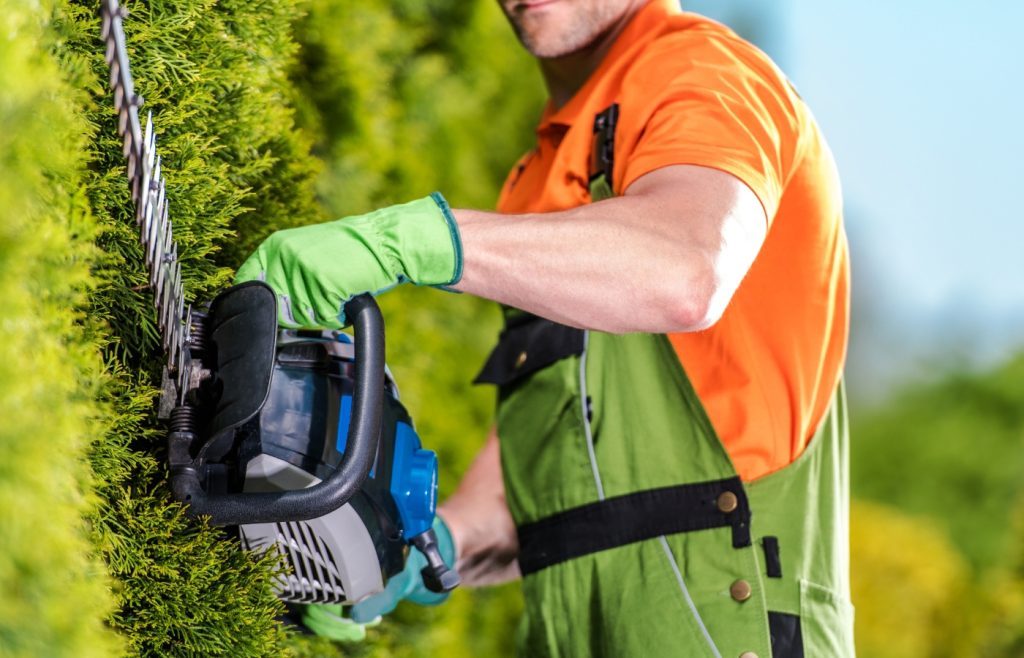 astuces tailler une haie droite