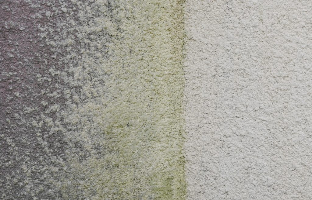 nettoyer facade sale