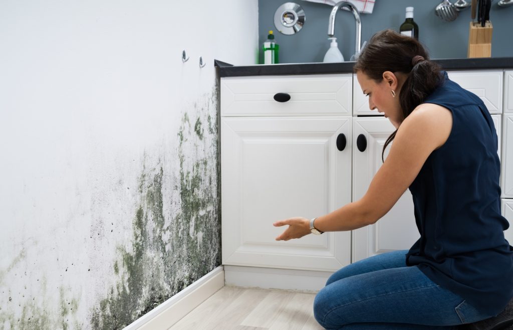 taches moisissure mur nettoyer