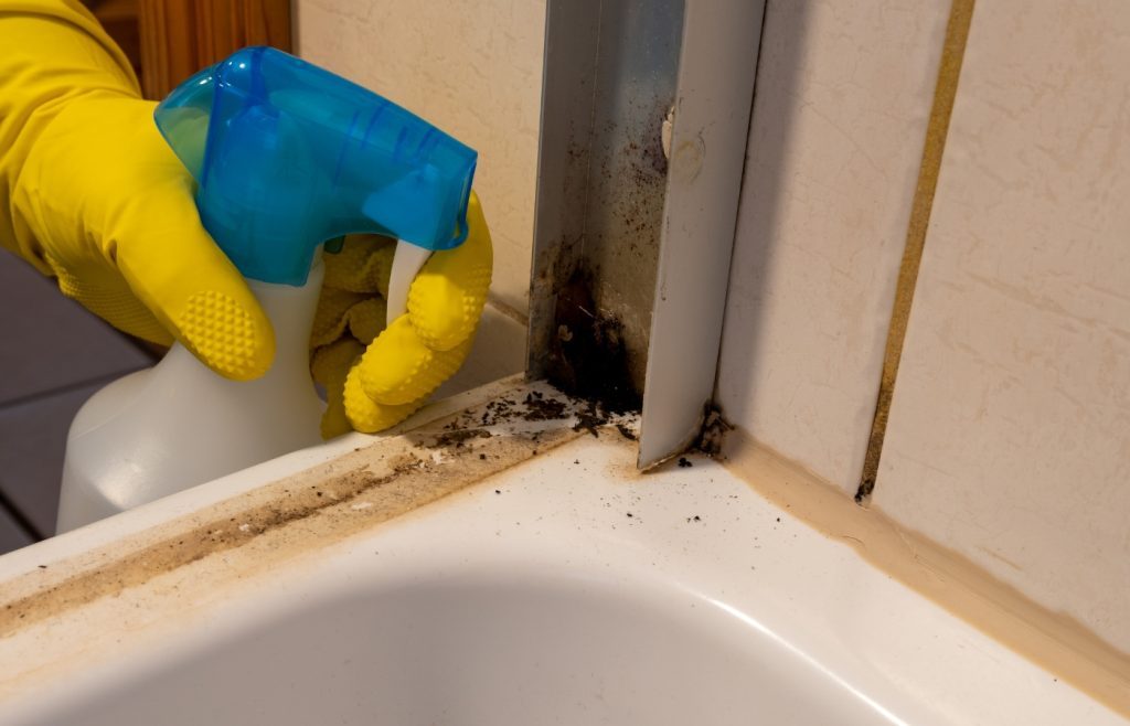 nettoyage joints douche noirs