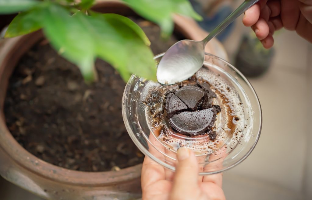 comment utiliser marc de café