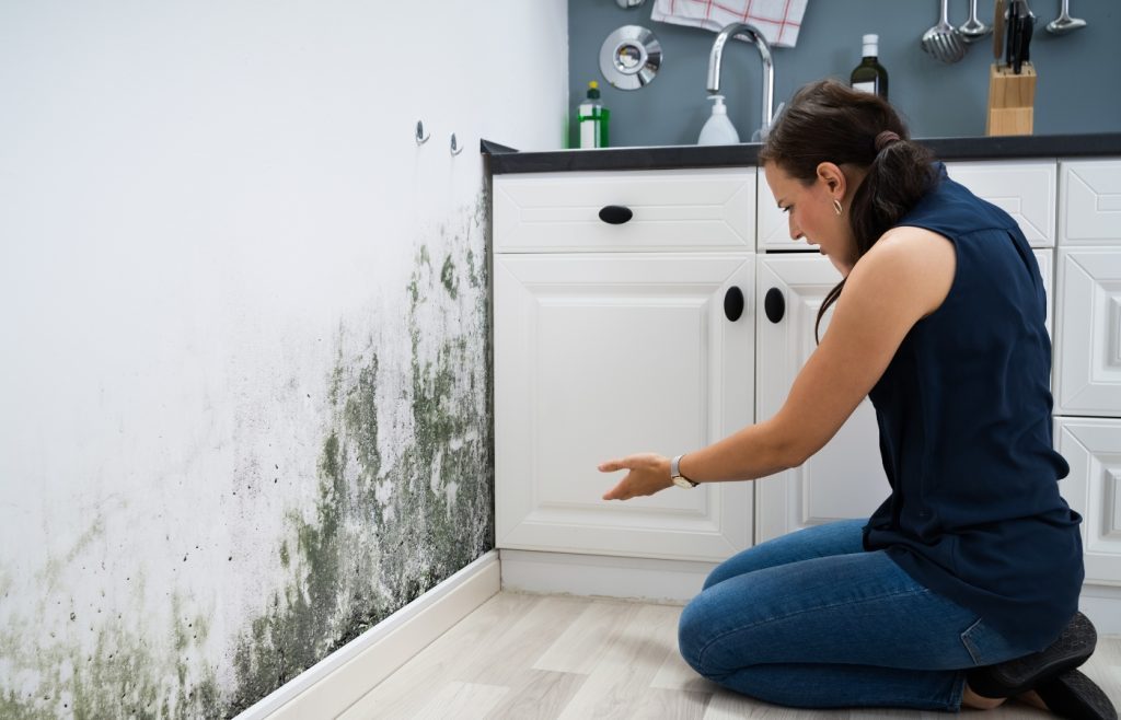 développement humidité et moisissures