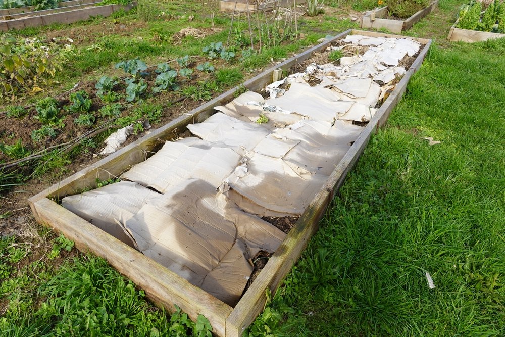 avantages carton potager
